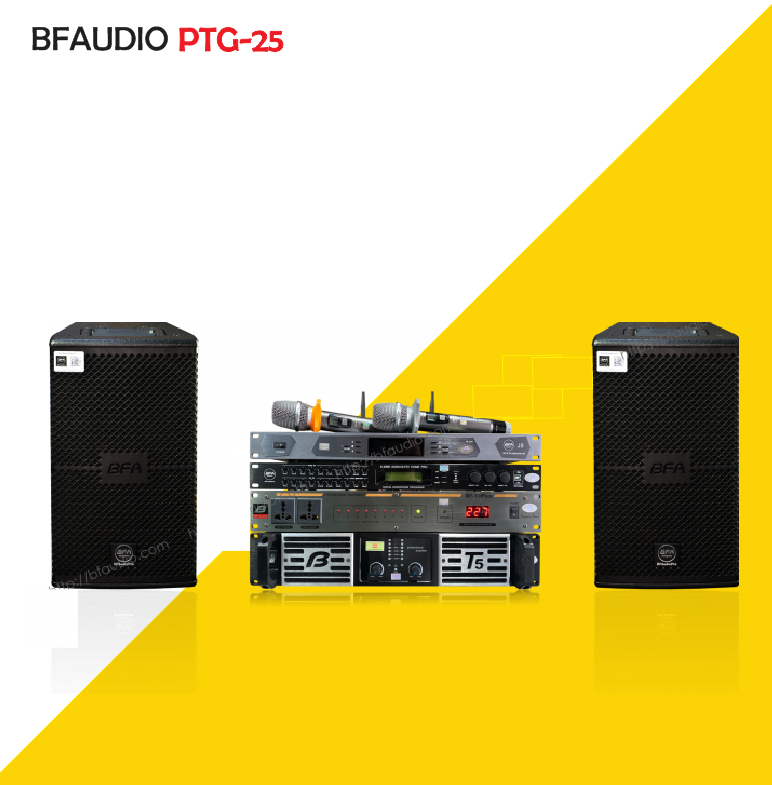 bfaudio pro