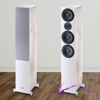loa heco audio aurora 700